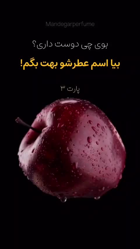 عطر لاگوست طوسی (گرمی) +شیشه رایگان