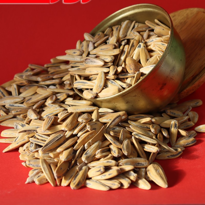 تخمه آفتابگردان. مینابی