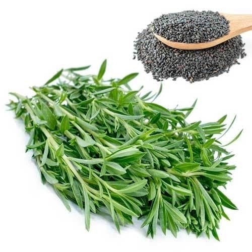 بذر (تخم) مرزه 100 گرمی
