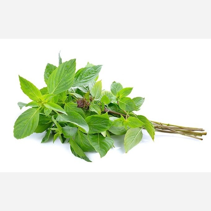 بذر (تخم) ریحان سبز کاشت 100 گرمی
