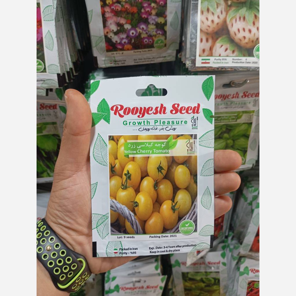 بذر گوجه گیلاسی زرد وارداتی