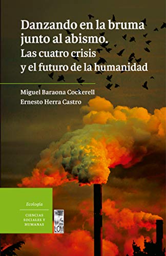 خرید و دانلود نسخه کامل کتاب Danzando en la bruma junto al abismo (Spanish Edition) – + pdf