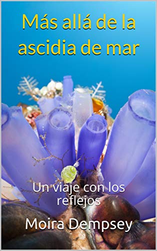 خرید و دانلود نسخه کامل کتاب Más allá de la ascidia de mar: Un viaje con los reflejos (Spanish Edition) – + Pdf