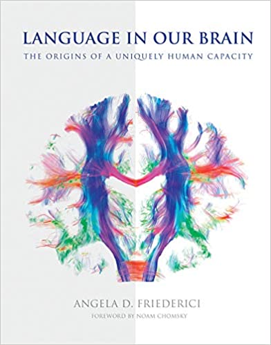 خرید و دانلود نسخه کامل کتاب Language in Our Brain: The Origins of a Uniquely Human Capacity [2017] – PDF