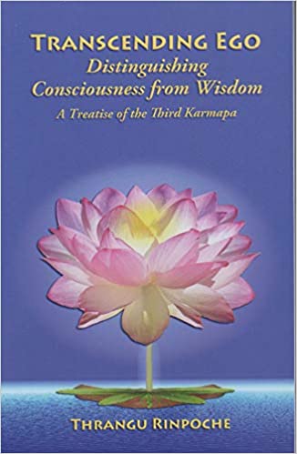 خرید و دانلود نسخه کامل کتاب Transcending Ego: Distinguishing Consciousness from Wisdom – + pdf