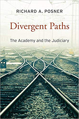 خرید و دانلود نسخه کامل کتاب Divergent Paths: The Academy and the Judiciary