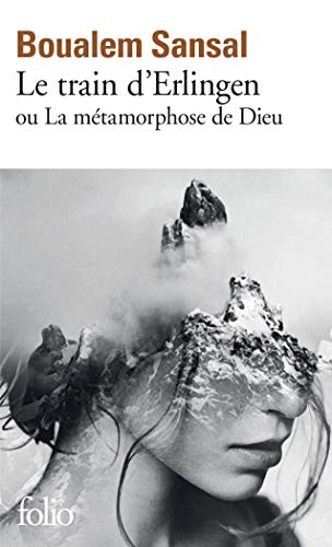 خرید و دانلود نسخه کامل کتاب Le train d Erlingen ou La métamorphose de Dieu (French Edition) – + Pdf