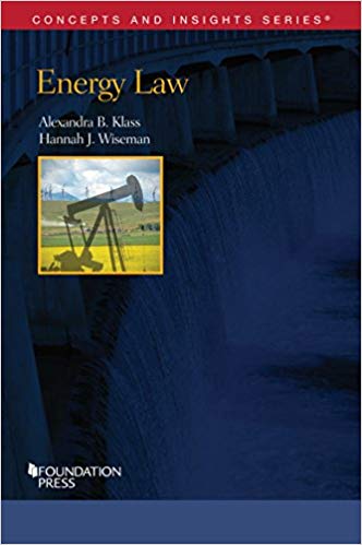 خرید و دانلود نسخه کامل کتاب Energy Law (Concepts and Insights)