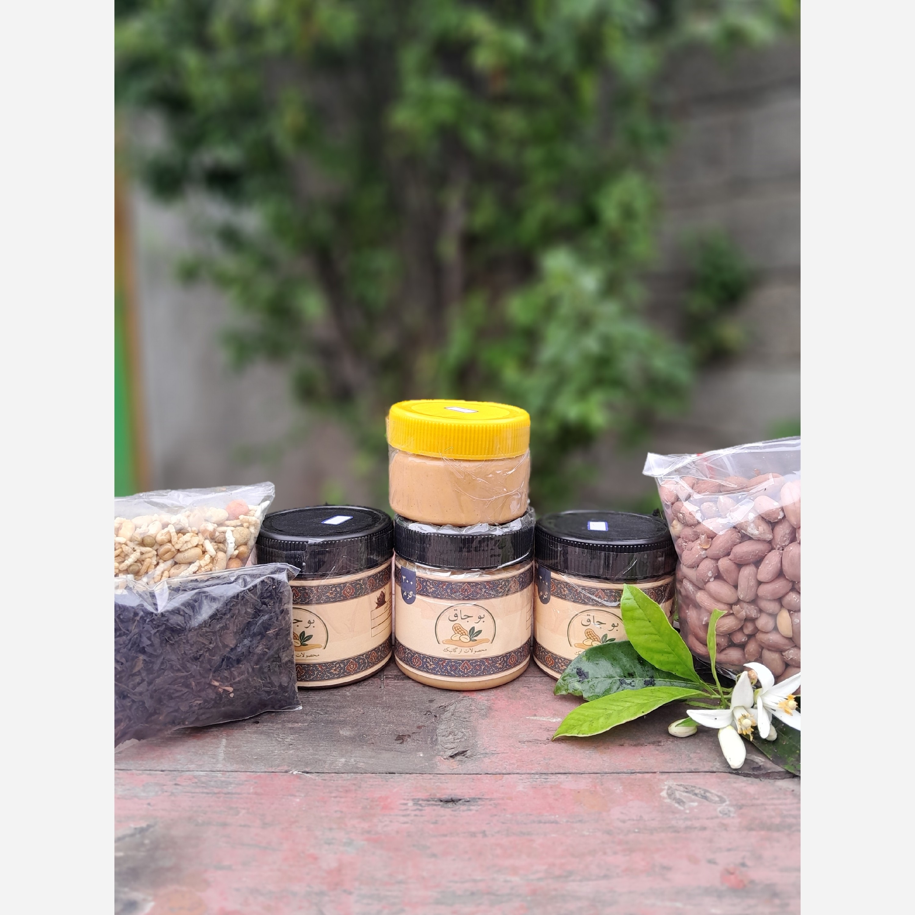 پک پرطرفدار شاه عباسی