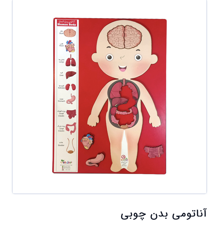 اناتومی بدن چوبی مدل 1