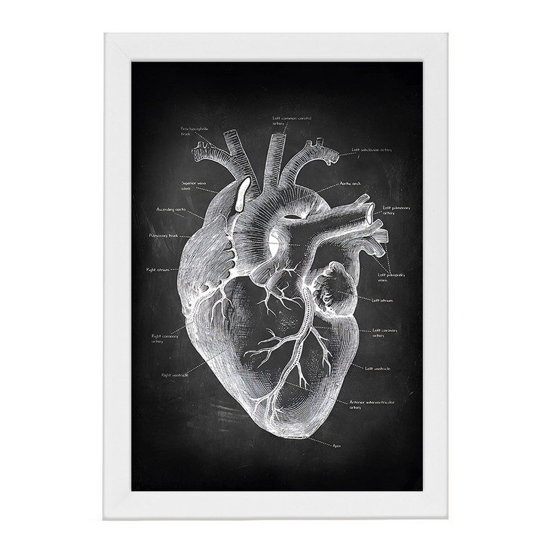 ارسال دیجی کالا تابلو خندالو طرح آناتومی قلب Heart Anatomy کد F13957 ارسال دیجی کالا