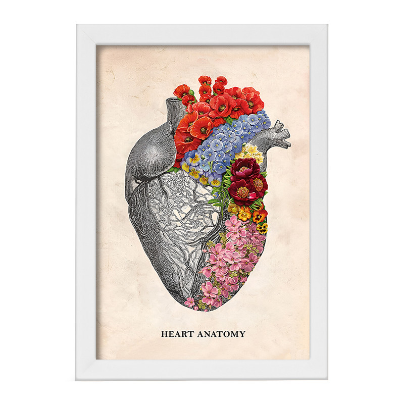 تابلو خندالو طرح آناتومی قلب Heart Anatomy کد F14001 – با بهترین کیفیت