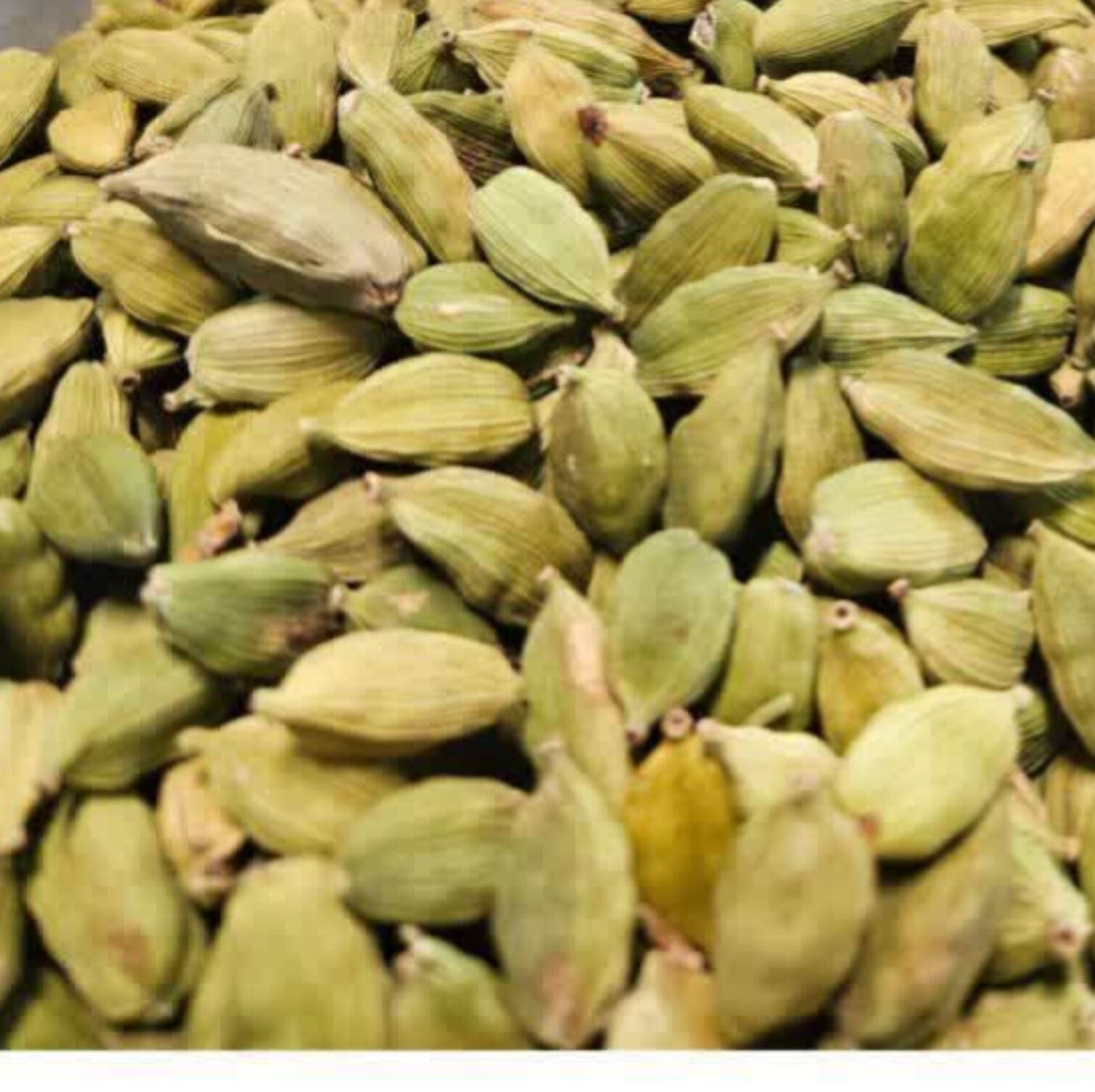 هل اکبر بنفش