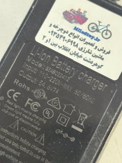 شارژر اسکوتر 54 ولت (پسکرایه)