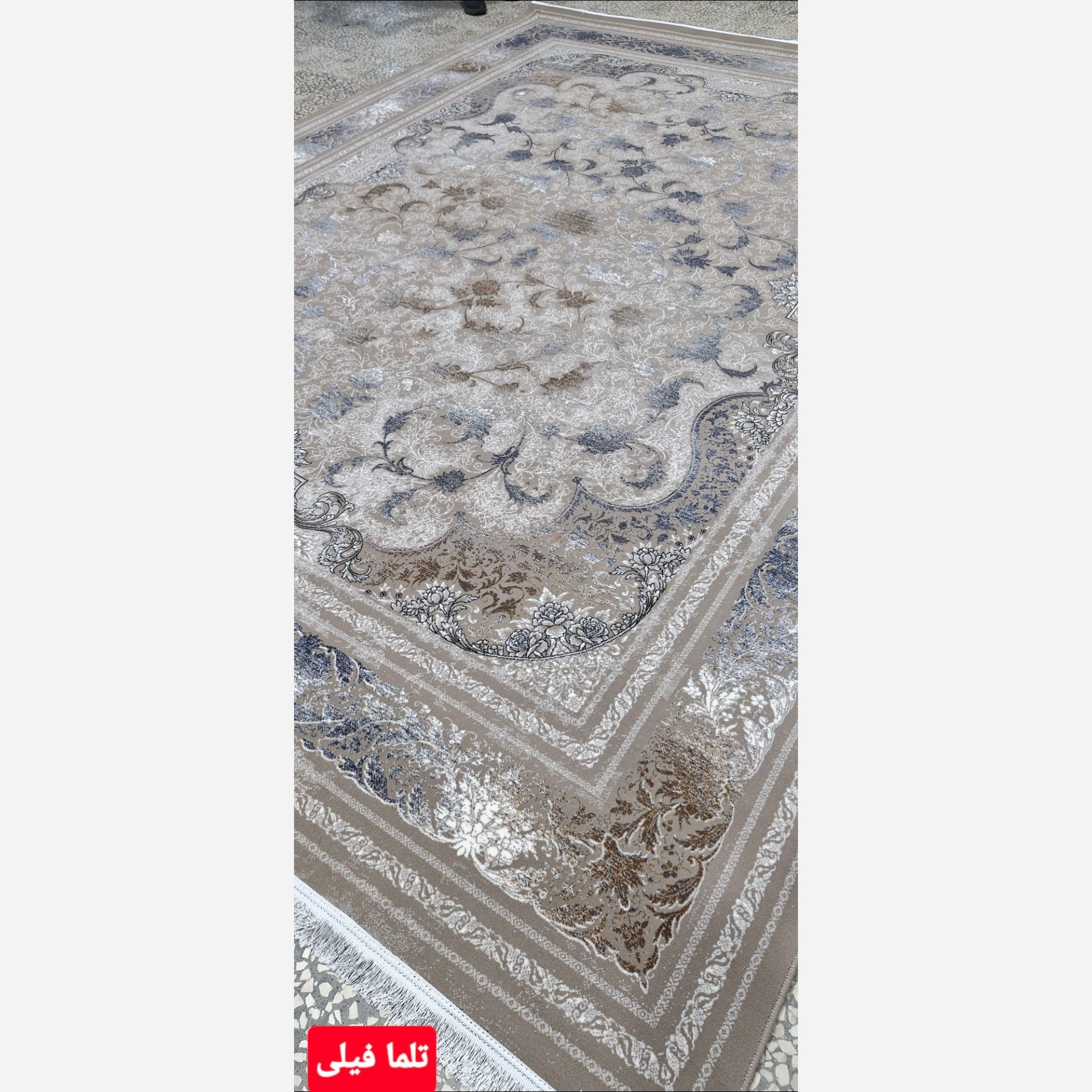 12متری شیک 700شانه ورژن تلما فیلی