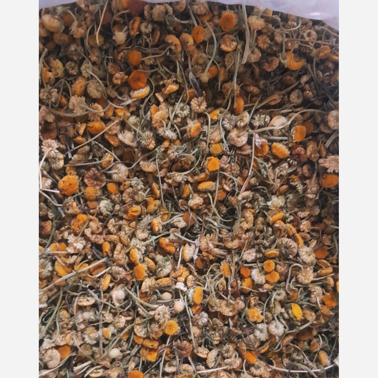 بابونه شیرازی وزن 50 گرم