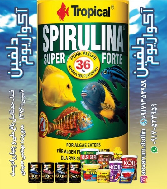 غذا ماهی آکواریوم super forte spirulina 35gr