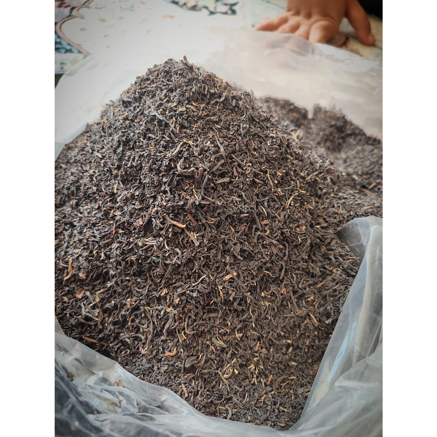 چای چکش سبز سیلان