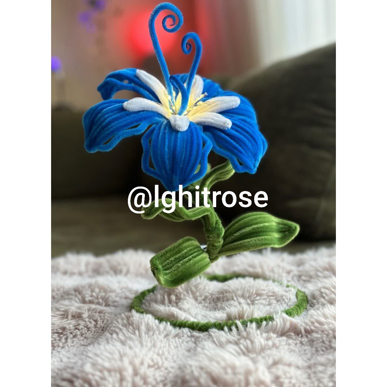 چراغ خواب تک شاخه