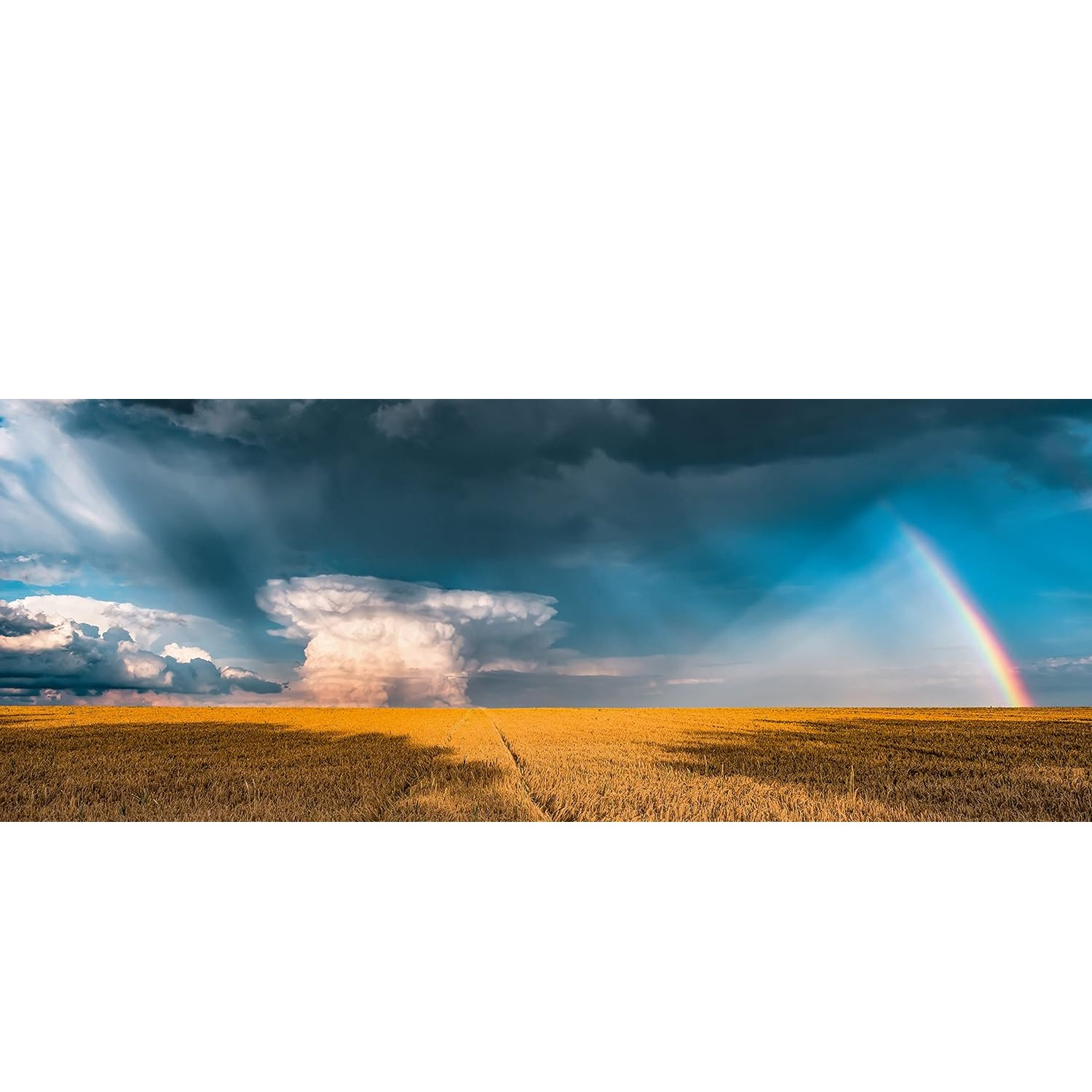 پازل 1000 تکه راونزبرگر مدل Panorama Rainbow Mystical کد 17493