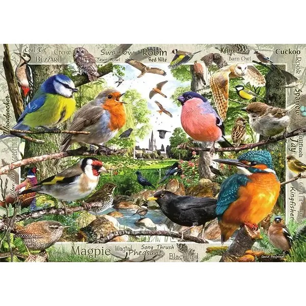 پازل 1000 تکه راونزبرگر مدل Our Feathered Friends کد 12000328 مناسب برای 14 سال به بالا