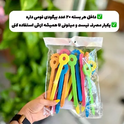 بیگودی فومی