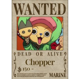 پوستر مدل تحت تعقیب انیمه وان پیس One piece  طرح   چوپر Chopper کد 28 سایز  A6 