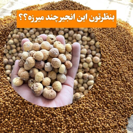 انجیر خشک مناسب پودر کردن و آب ریختن یک کیلو