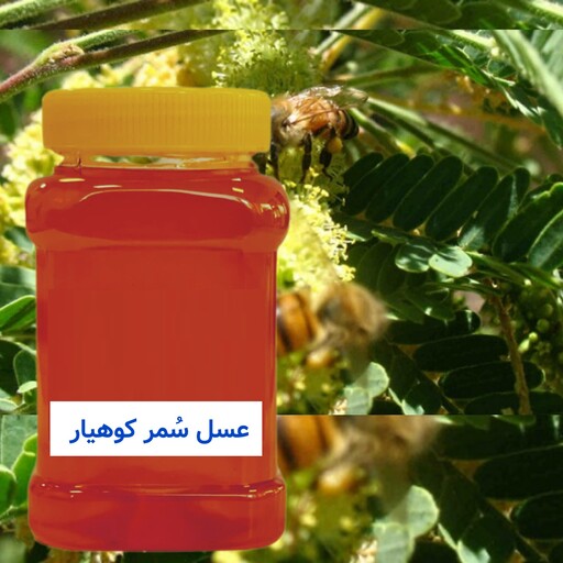 عسل سُمر(کهور) خرید مستقیم از زنبوردار