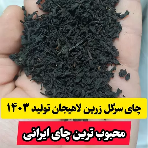 چای سیاه سرگل صادراتی لاهیجان تولید 1403 (500 گرم)