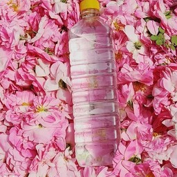 گلاب دوآتشه سنتی خالص تازه 
