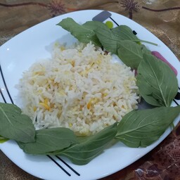 برنج طارم هاشمی خوش عطر شمال(10  کیلویی)