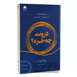 کتاب درونت چه خبره اثر یونگ پوئبلو انتشارات داهی