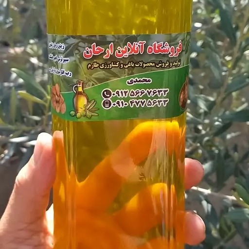 روغن زیتون بی بو 