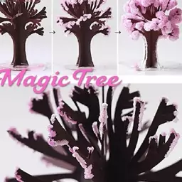 درخت جادویی ساکورا

ARTIFICIAL MAGIC PAPER SAKURA TREES