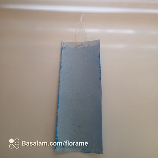 کارت آبی(چسب آبی) وارداتی کره ای تله جذب کننده تریپس 3 عددی