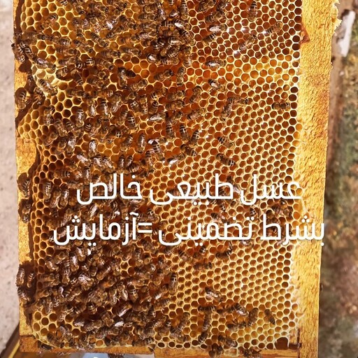 عسل بهاره