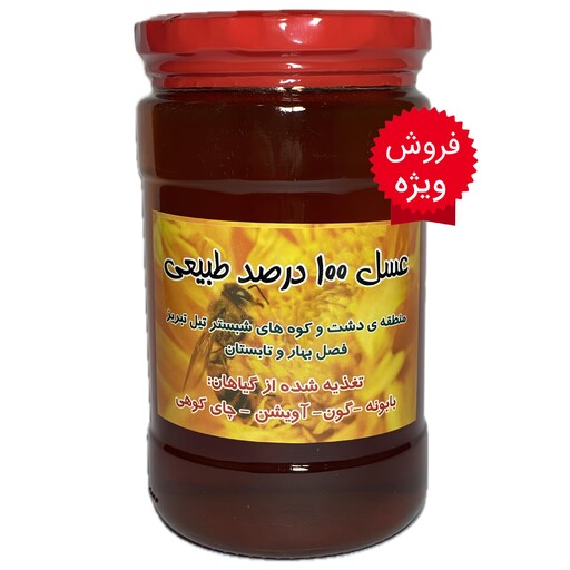 عسل طبیعی چند گیاه یک 1 کیلویی بهاره (عسل شهد)