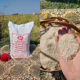 برنج لاشه فجر  10 کیلویی با ارسال رایگان از شهر برنج شمال