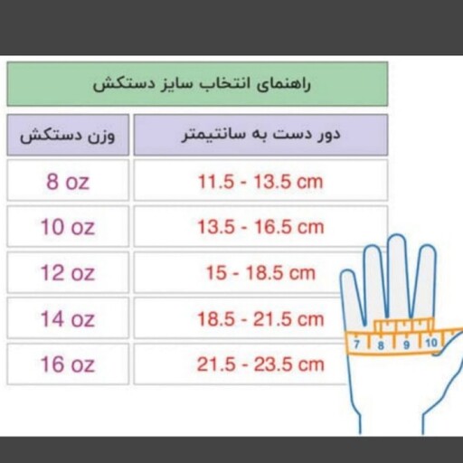 دستکش بوکس ریس مدل Fiter pro 2025