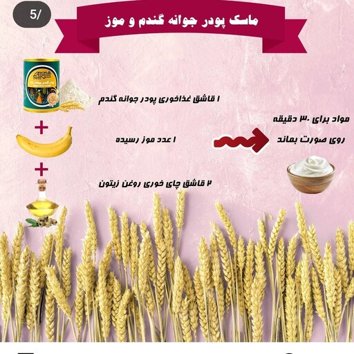 جوانه جوانه غنی شده گندم