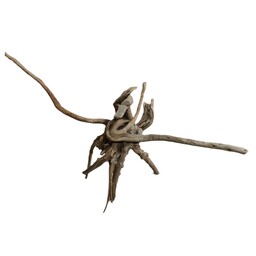 چوب تزیینی آبنوس کد 06 مخصوص آکواریوم مدل ریشه مانگرو 