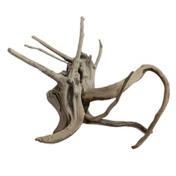 چوب تزیینی آبنوس کد 01 مخصوص آکواریوم مدل ریشه مانگرو