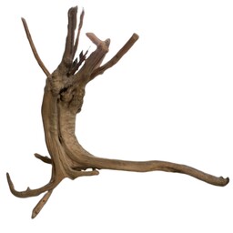 چوب تزیینی آبنوس کد 12 مخصوص آکواریوم مدل ریشه مانگرو