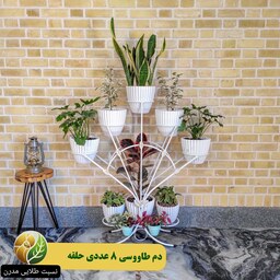 استند گلدان طرح دم طاووسی 8 عددی حلقه ، ارسال رایگان تیپاکس