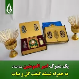 هدیه روز پدر سنگ نگین متبرک  حرم امیرالمومنین امام علی علیه السلام بر روی سفال و هنر دستی هدیه غدیری گیفت نبات و گل