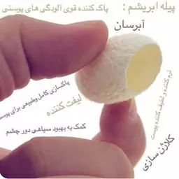 پیله ابریشم