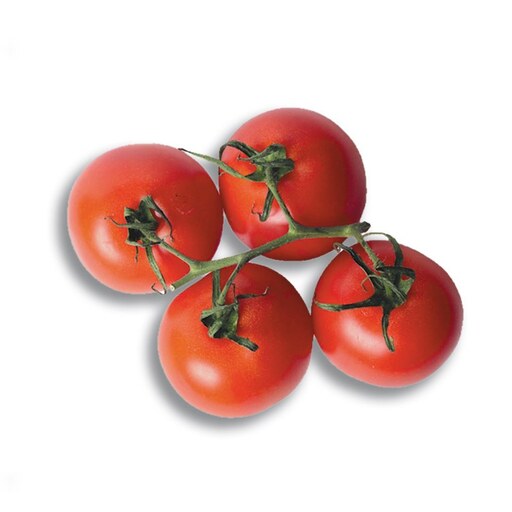 بذر گوجه فرنگی قرمز درشت توندو  20 عددی