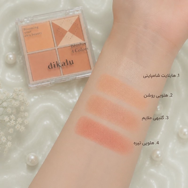 پالت رژگونه چهار رنگ پینترستی دیکالو