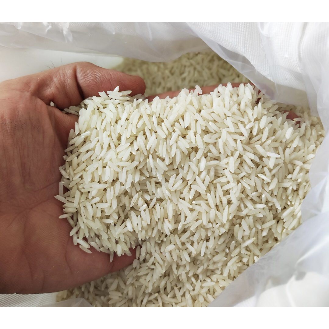 برنج طارم کشت دوم